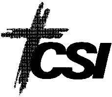 CSI nagylogo